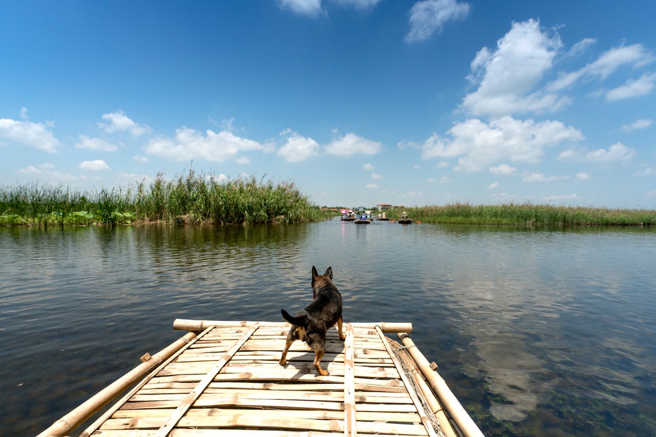vakantiepark Zeeland kindvriendelijk